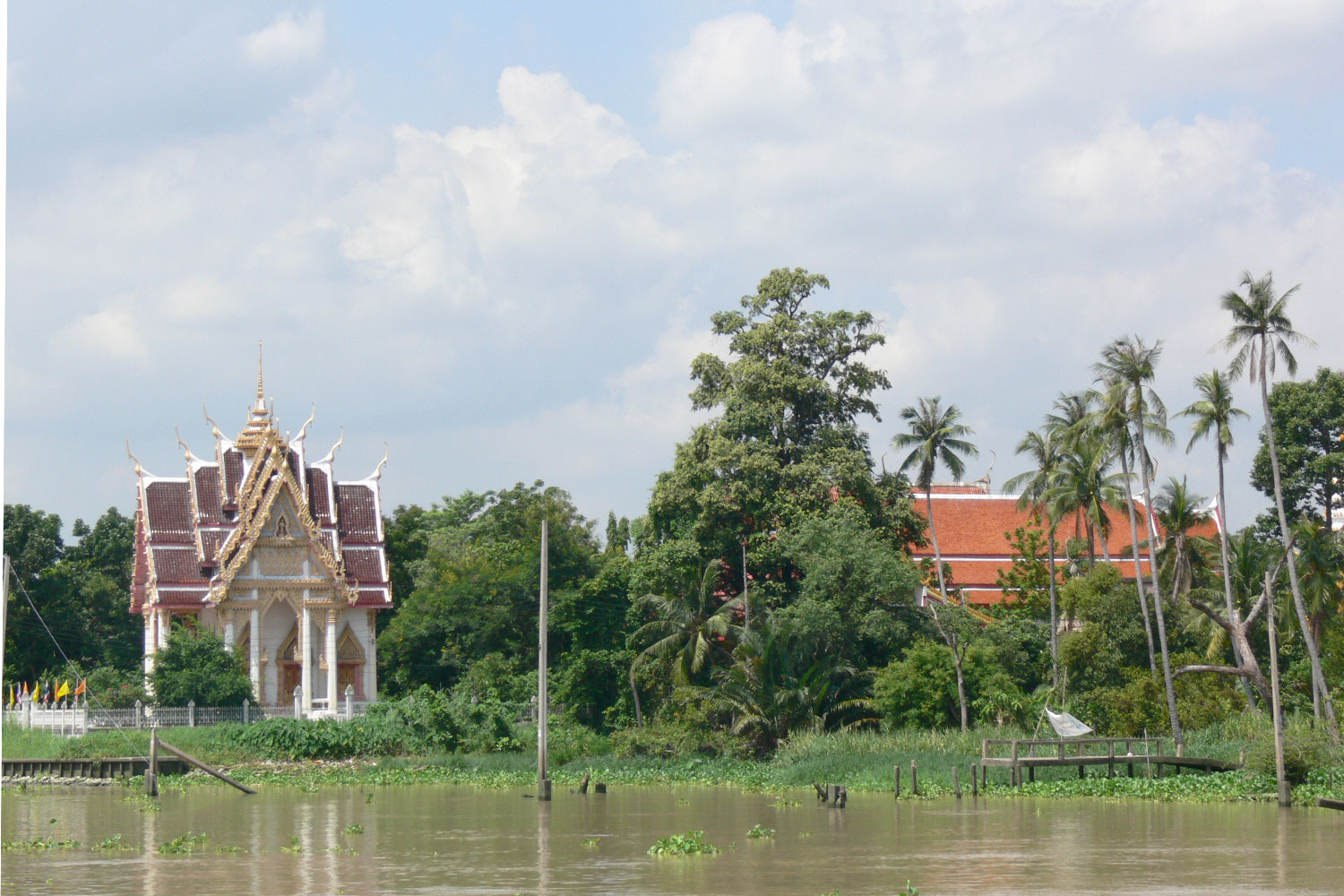 View of the river banks on the Chao Phraya River